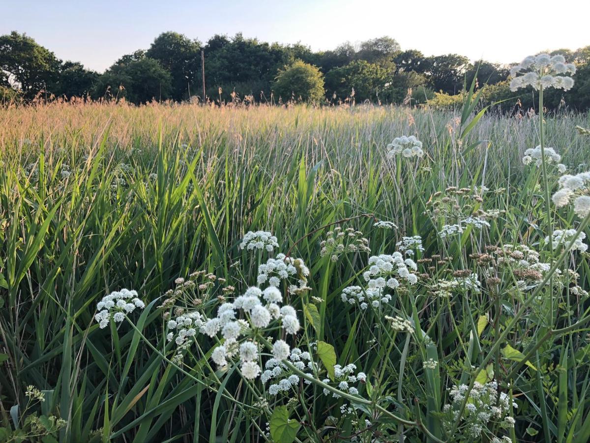 Hotel Secret Garden Glamping Lymington Esterno foto